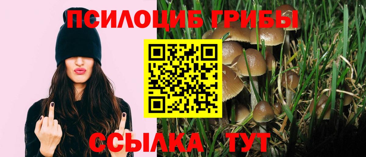 Нижнекамск  наркота  Вход с VPN  Галлюциногенные грибы Cubensis 